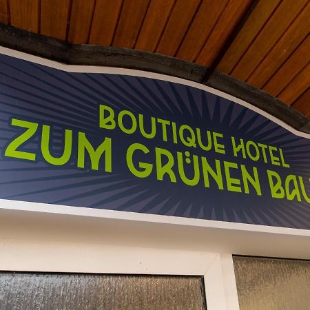 Boutique-Hotel Zum Gruenen Baum Alzenau in Unterfranken Kültér fotó